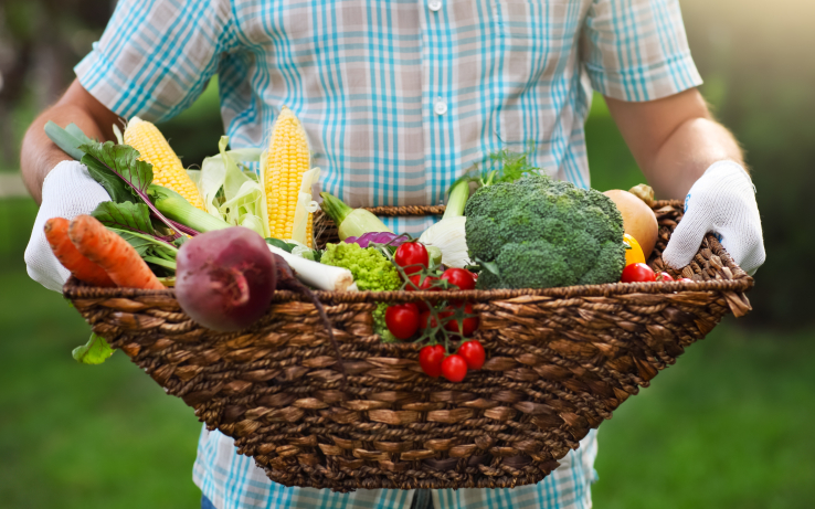 India’s BigBasket lands $150M to expand its online grocery service