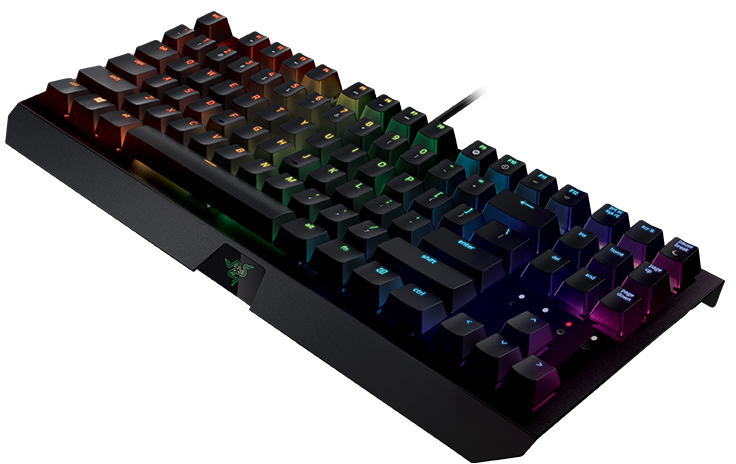 Razer goes budget-friendly with new Blackwidow X keyboard line