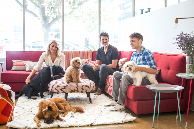 DogVacay’s Aaron Hirschhorn on how founders can control the relationship with VCs