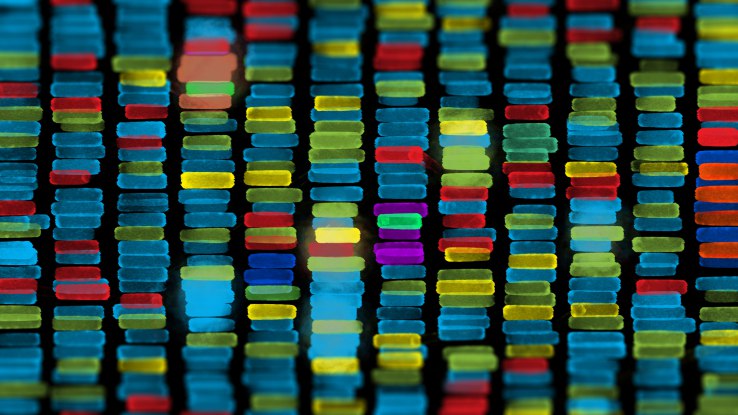 Reshaping human health and changing lives through gene editing