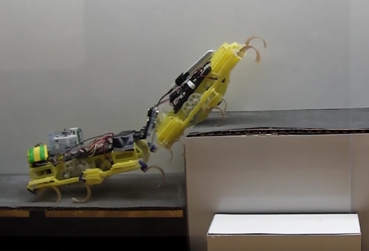 Ultra-cute bugbots cooperate to climb a step together