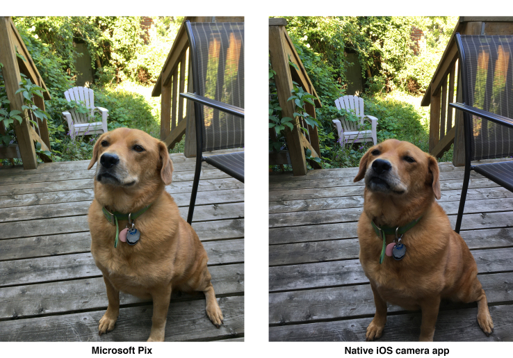 Microsoft Pix uses AI to help your iPhone take the best pictures