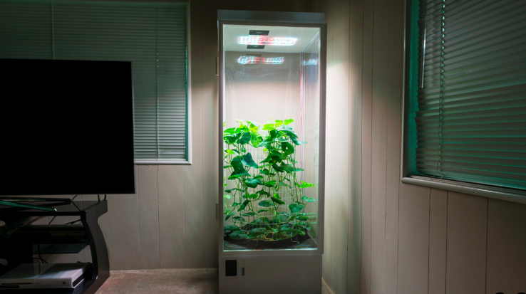 7Sensors Grow Box will automatically care for your plants, from produce to pot