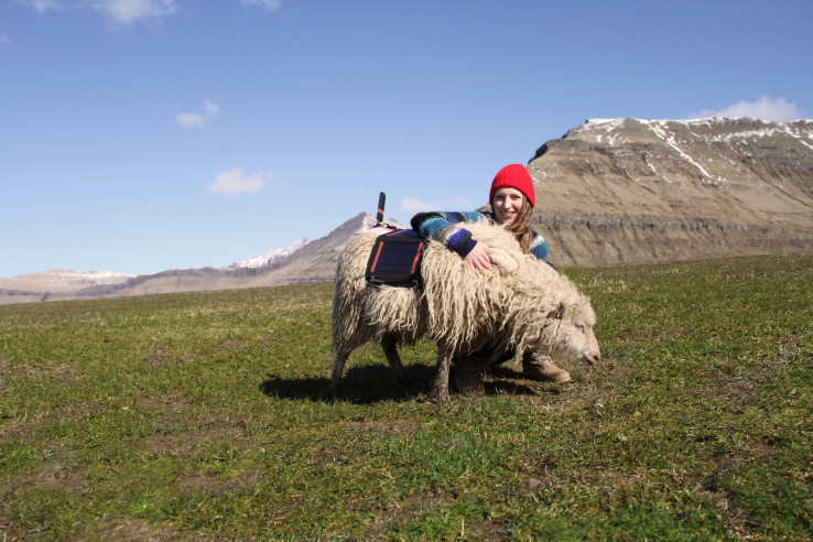 Google helps Faroe Islanders spin their Sheep View yarn