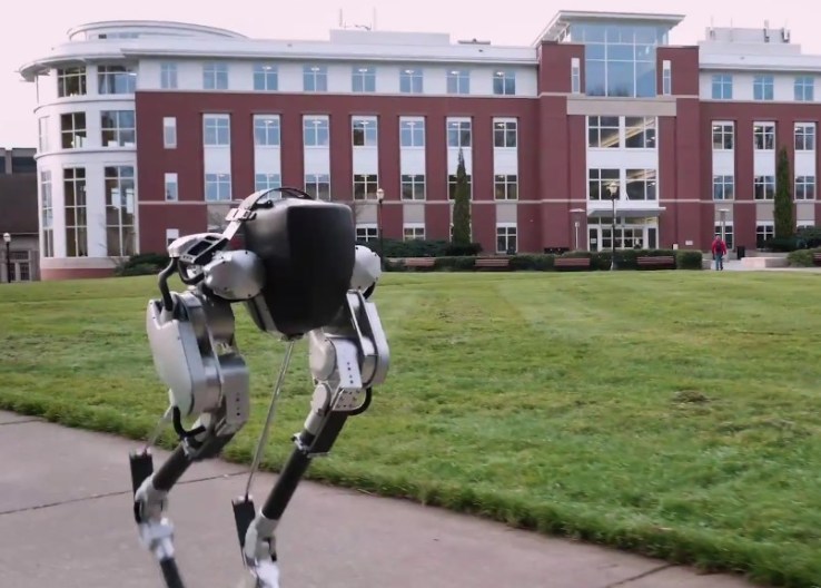 Cassie the ostrich bot does the bipedal robot chicken walk