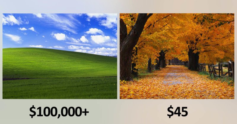 Microsoft Paid ‘Bliss’ Photog $100K+ and ‘Autumn’ Photog $45