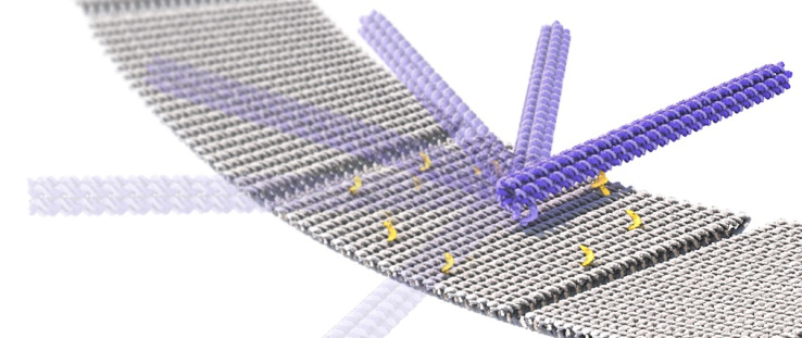 These high-speed ‘nano-cranes’ could form molecular assembly lines