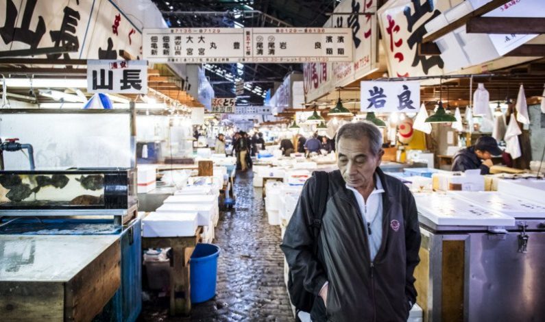 Photos of the Tsukiji Fish Market