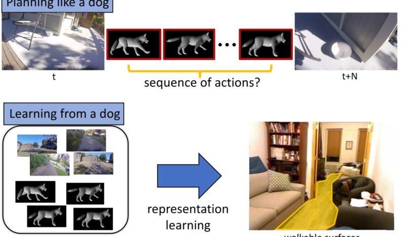 Who’s a good AI? Dog-based data creates a canine machine learning system